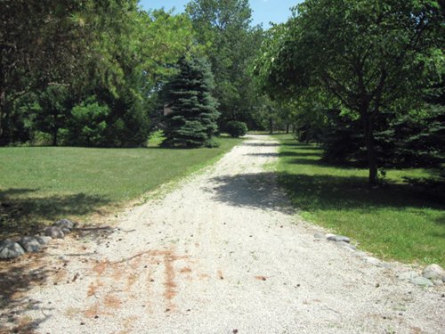 Property photo 6 - Real Estate Auction - 5 Bedroom Home